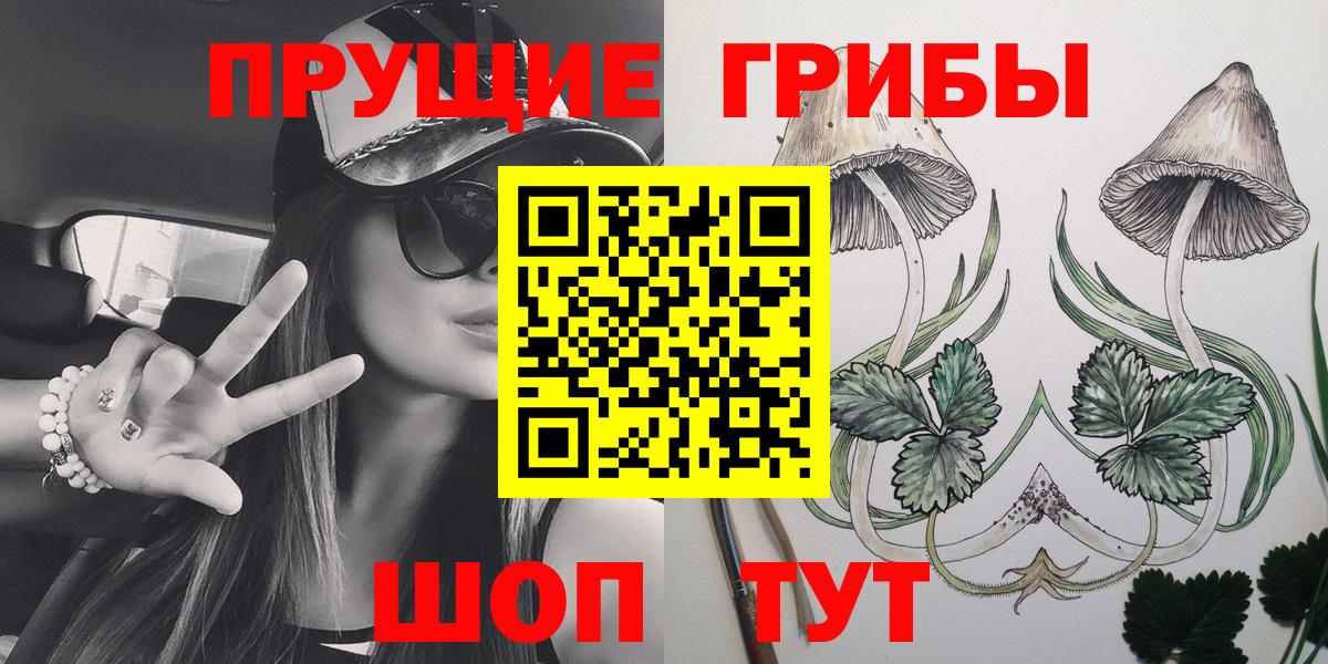 Псилоцибиновые грибы MAGIC MUSHROOMS  Вход с VPN  купить наркотик  Грязи 